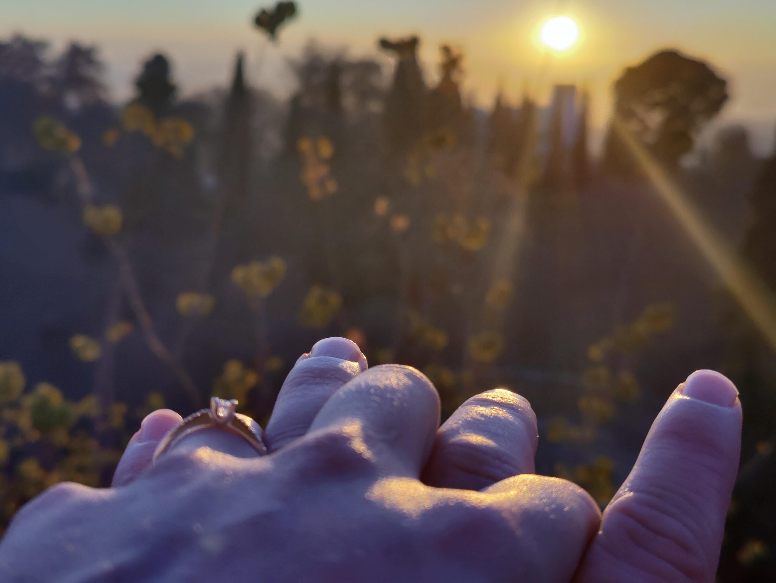 WhatsApp Image 2025-06-22 at 19.03.45 (3)